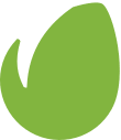 Themeforest